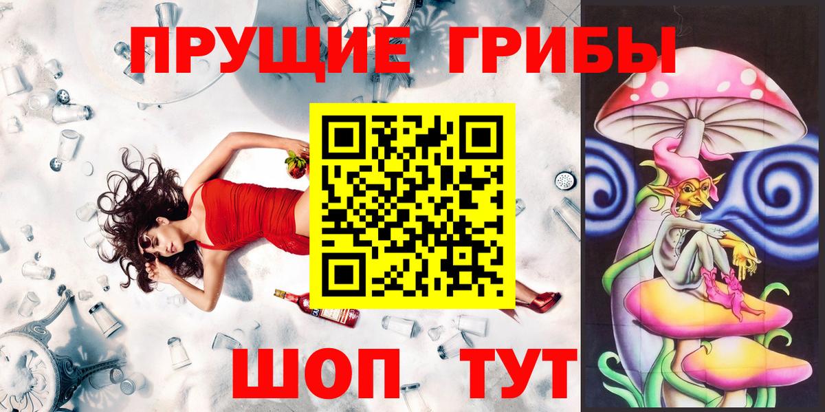 Псилоцибиновые грибы Psilocybe Сочи